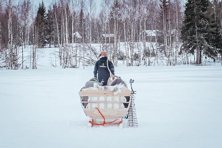 Kuoksa Reindeer Farm: Reindeer Sleigh Experience Near Rovaniemi photo 3