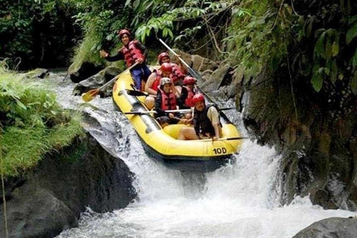 Ayung River Rafting from Ubud — Private Transfer & Jungle Rapids photo 2