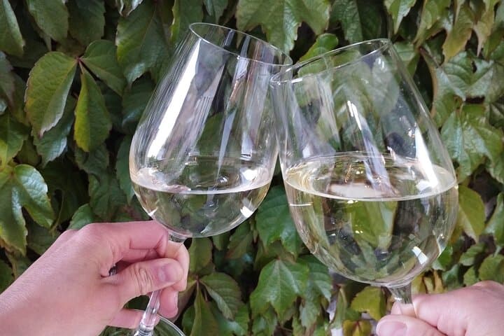 Wine and Bites Tour in Liberec: Guided Evening Food and Wine Walk photo 2