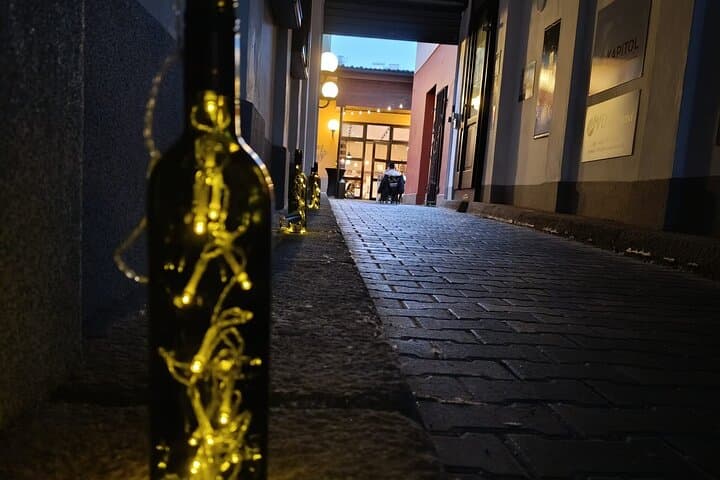 Wine and Bites Tour in Liberec: Guided Evening Food and Wine Walk photo 5