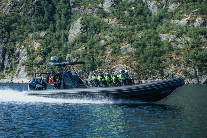 Trollfjord RIB Speedboat Adventure from Sortland: Raftsundet to the Narrow Gorge photo 4