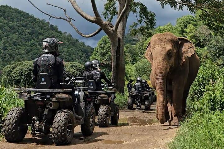 Sticky Waterfall & ATV Day Trip from Chiang Mai: Bua Thong Guide photo 6