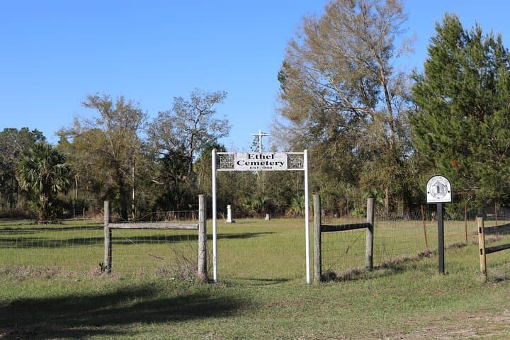 Saddle Up at Rock Springs Run: 1-Hour Guided Horseback Trail Ride Near Orlando photo 4