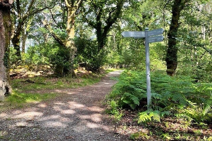 Explore Killarney National Park: Self-Guided Audio Walking Tour for Flexible Adventure photo 3