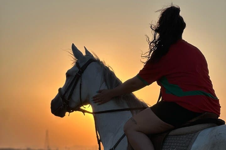 Sunset Horseback Ride Through Marrakech’s Palmeraie and Berber Tea Experience photo 3