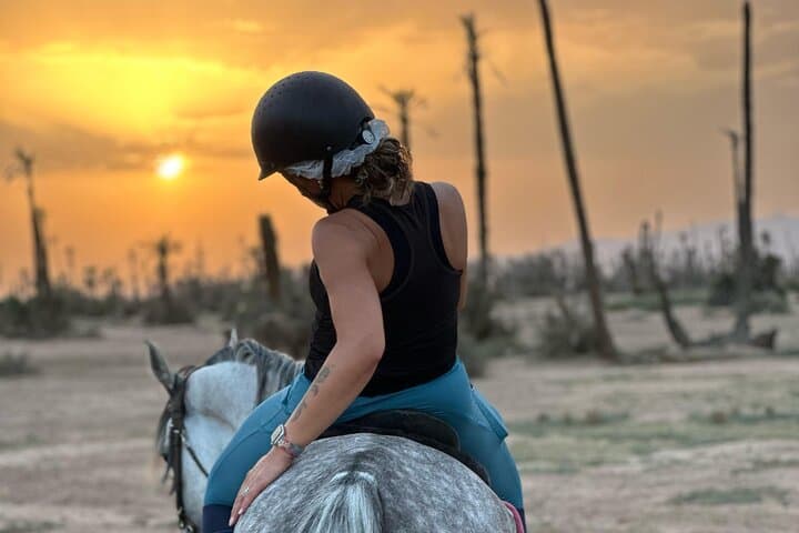 Sunset Horseback Ride Through Marrakech’s Palmeraie and Berber Tea Experience photo 2