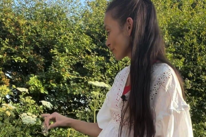 Foraging the Countryside: Private Wild Food Walk Near York photo 3