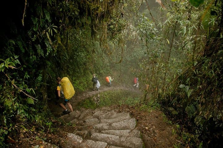 Cusco 2-Day Inca Trail & Machu Picchu: Short Trek from Km 104 with 1-Night Stay photo 6