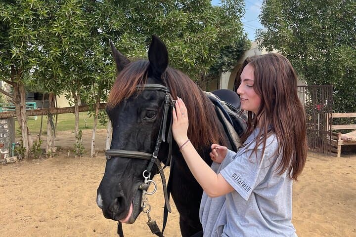 Cairo Horseback Ride: Giza Pyramids & Abu Sir Desert Safari photo 3