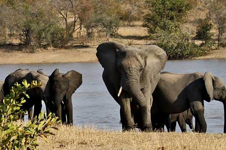 Half-Day Safari from Richards Bay to Hluhluwe–Imfolozi Park: Big Five in a Day photo 6