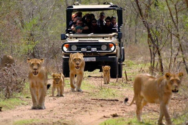 Hluhluwe & iSimangaliso 2-Day Safari from Durban — Big Five Game Drives & St Lucia Estuary Cruise