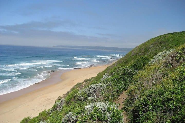 7-Day Garden Route Overland: Cape Town to Durban Adventure photo 1