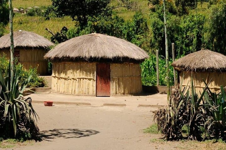 Half-Day Safari: Tala Game Reserve & Natal Park Wildlife Tour from Durban photo 6