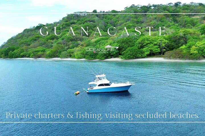 Private Sunset Charter: Snorkeling, Fishing & Open Bar from Marina Flamingo
