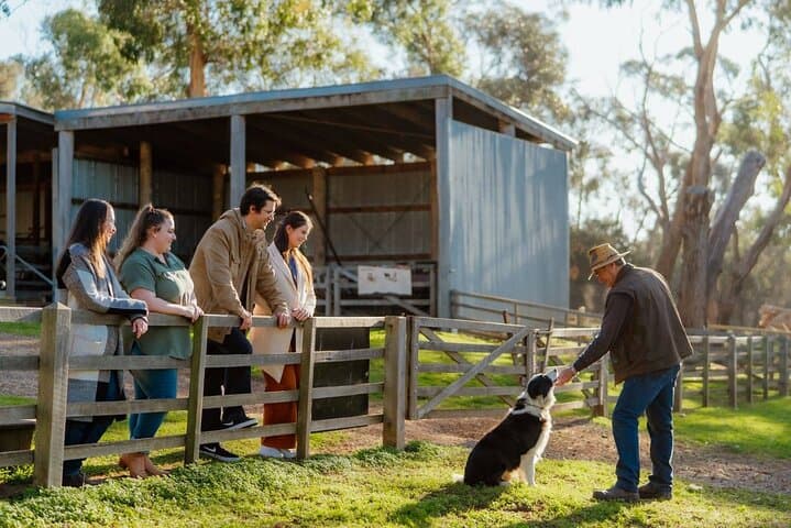 Phillip Island Penguin Parade & Island Explorer Day Trip from Melbourne photo 4