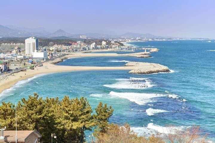 Sokcho Gourmet Tour: Seafood Markets, Abai Village & Shoreline Cafes