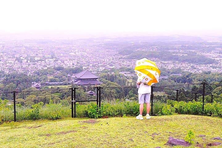 Hike Mt. Wakakusa: Deer Encounters & Panoramic Views in Nara photo 3