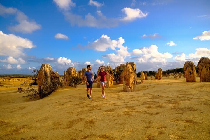 Pinnacles & Lancelin Sand Dune Day Tour from Perth — Pinnacles Desert, Lobster Shack & Wedge Island