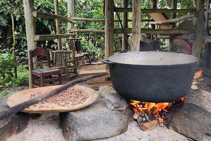 Off-Road Punta Cana Jeep Safari: Anamuya 4x4, Zipline & Farm Immersion photo 2