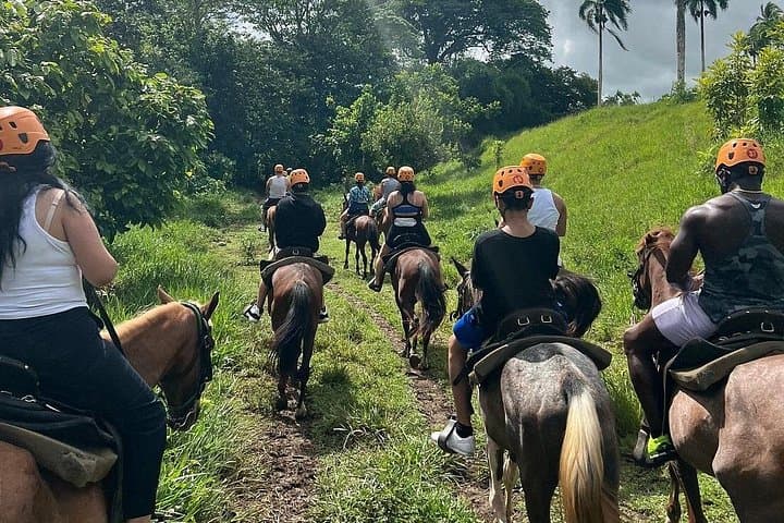 Off-Road Punta Cana Jeep Safari: Anamuya 4x4, Zipline & Farm Immersion photo 4