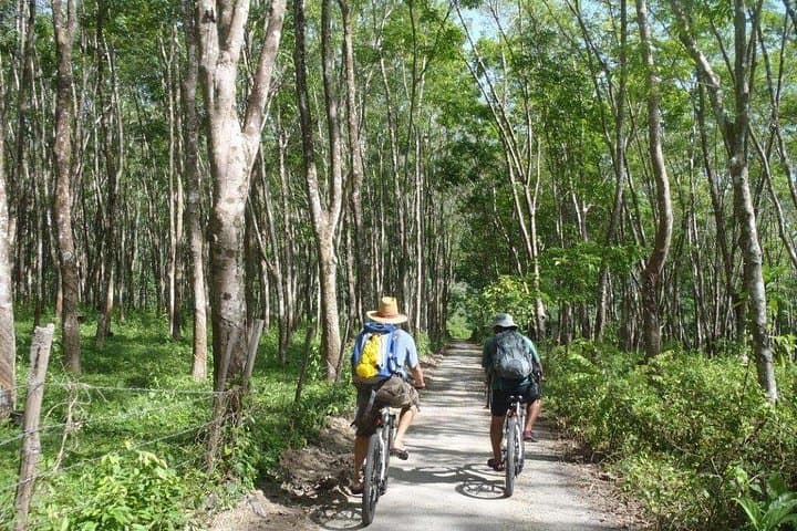 Ride Langkawi’s Quiet Roads: Countryside Cycling Tour through Paddy Fields and Villages photo 2