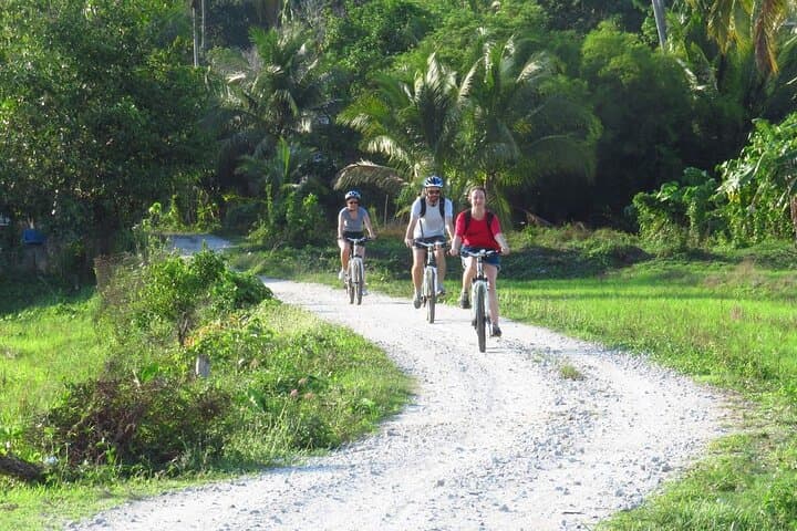 Langkawi Countryside Cycling Tour: Paddy Fields, Villages & Local Snacks photo 6