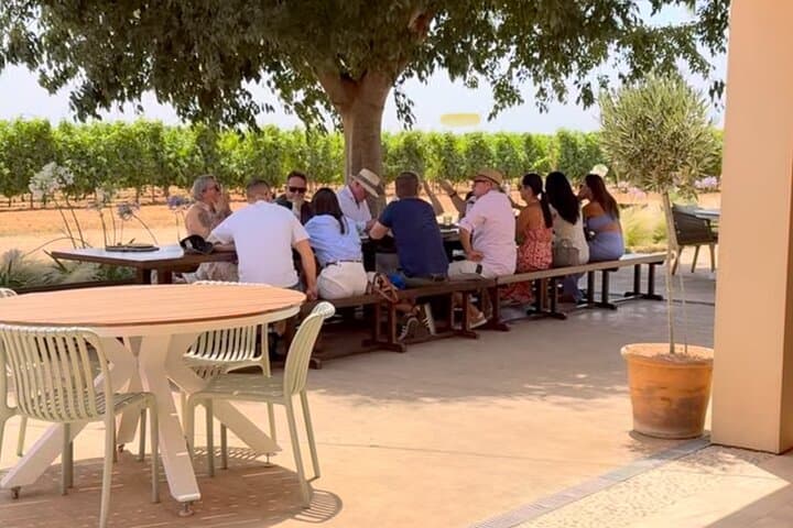 Private Tramuntana Villages and Winery Tour from Palma photo 2