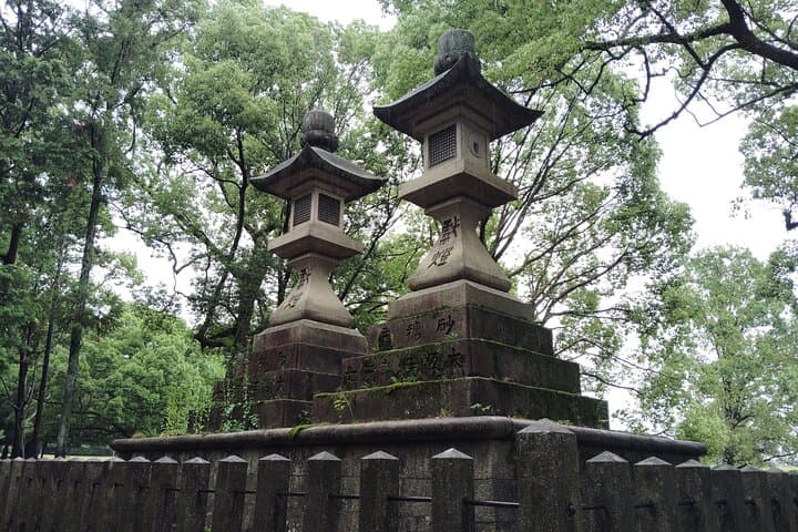 Sacred Morning Walk with Nara Deer on Mount Wakakusa photo 5