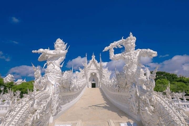 Chiang Rai & Golden Triangle Private Tour from Chiang Mai — Temples, Tea & Mekong Views photo 3