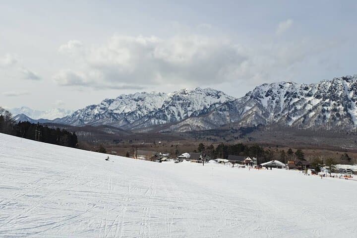 Private Winter Togakushi Tour — Snow Play, Skiing & Cedar Shrine Walks photo 2