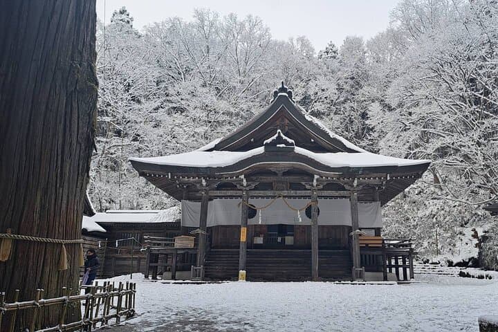 Private Winter Togakushi Tour — Snow Play, Skiing & Cedar Shrine Walks photo 4