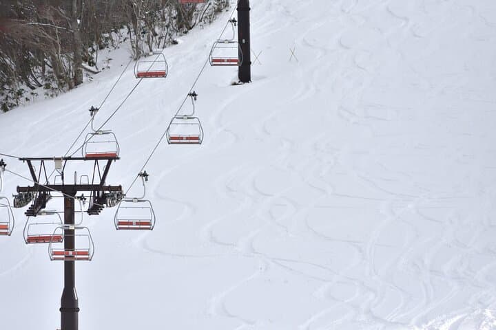 Private Winter Togakushi Tour — Snow Play, Skiing & Cedar Shrine Walks photo 5
