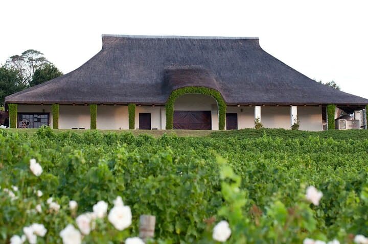 Hemel-en-Aarde & Hermanus Private Wine Tour: Pinot Noir, Coastal Views & Luxury Transport photo 2