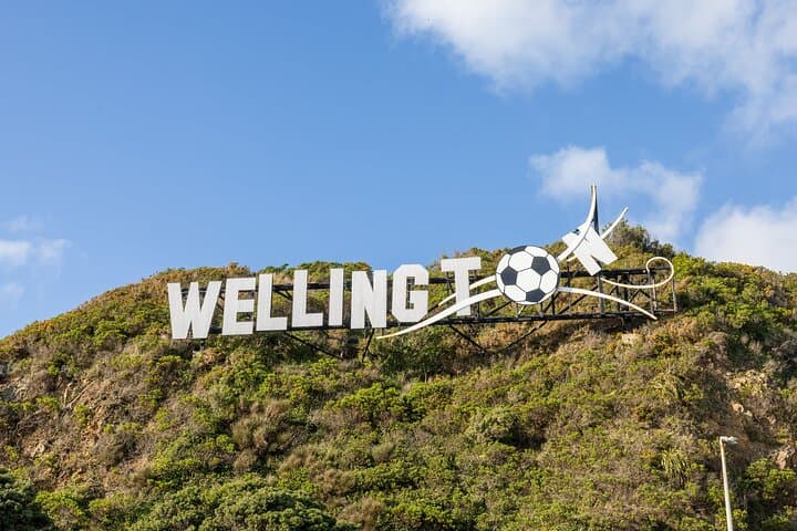 Private Full-Day Wellington Tour: Te Papa, Cable Car & Mount Victoria Highlights photo 4