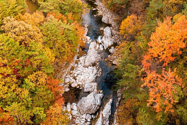 Odaesan National Park Autumn Foliage Tour — Visit the Goblin (Dokkaebi) Film Site and Woljeongsa Temple photo 3