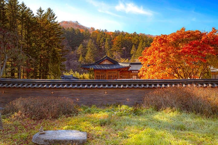 Odaesan National Park Autumn Foliage Tour — Visit the Goblin (Dokkaebi) Film Site and Woljeongsa Temple photo 5