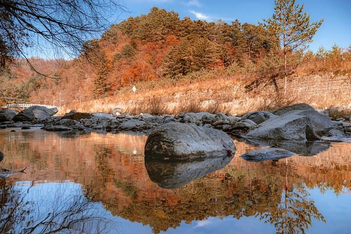 Odaesan National Park Autumn Foliage Tour — Visit the Goblin (Dokkaebi) Film Site and Woljeongsa Temple photo 6
