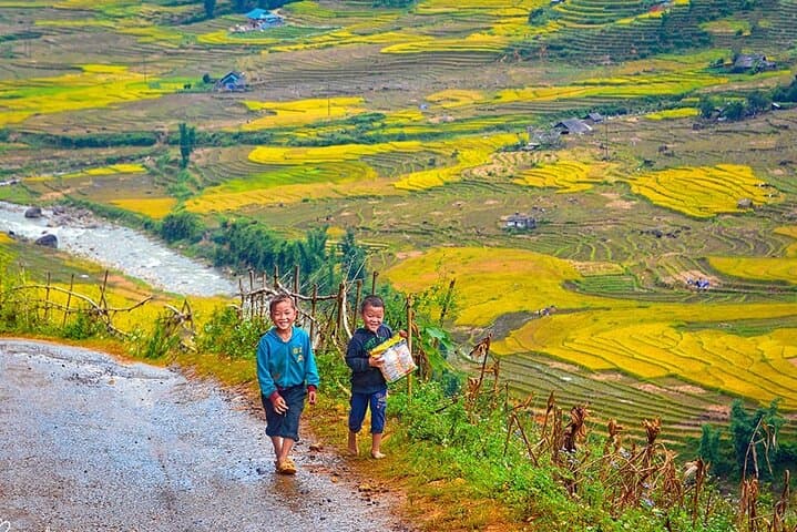 Northern Vietnam Discovery: 7-Day Hanoi to Sapa, Ninh Binh & Halong Bay Adventure