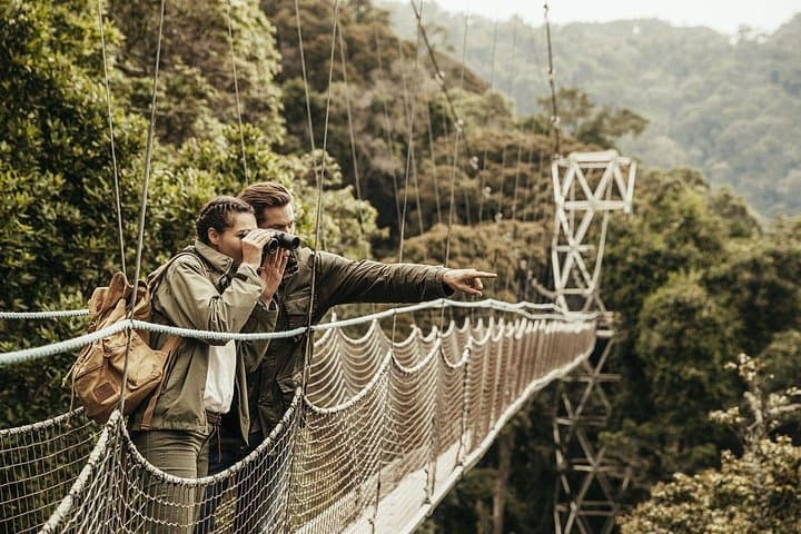 6-Day Rwanda & Uganda Gorilla Safari: Gorilla Trekking, Mount Bisoke Hike & Nyungwe Canopy Walk photo 4