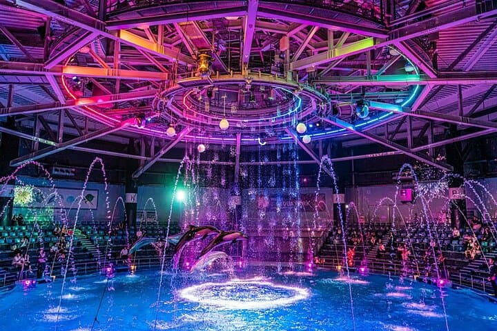Tokyo Night E‑Bike Tour: Dolphin Show, Temples & Tokyo Tower Top Deck photo 2