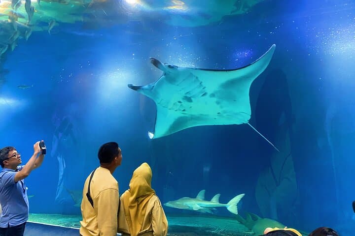 Tokyo Night E‑Bike Tour: Dolphin Show, Temples & Tokyo Tower Top Deck photo 5