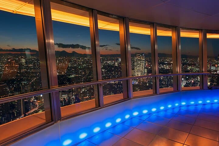 Tokyo Night E‑Bike Tour: Dolphin Show, Temples & Tokyo Tower Top Deck photo 6