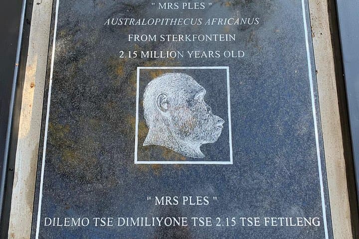 Inside the Cradle of Humankind: Sterkfontein Caves & Maropeng Tour