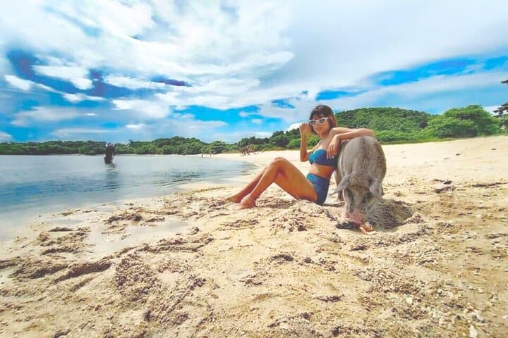 Pig Island and Koh Taen Snorkel Tour from Koh Samui: Pigs, Reefs & Island Views photo 5