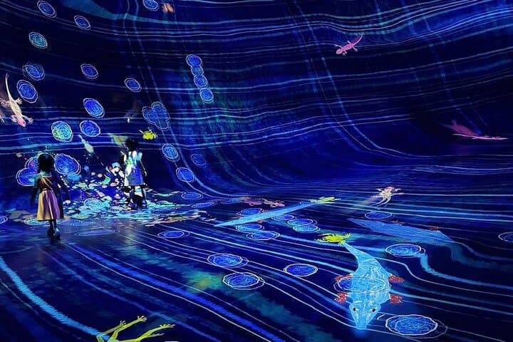 teamLab Phenomena Abu Dhabi: Immersive Digital Art Experience on Saadiyat Island photo 2