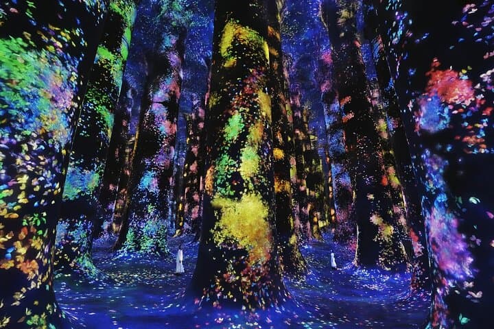 teamLab Phenomena Abu Dhabi: Immersive Digital Art Experience on Saadiyat Island photo 3