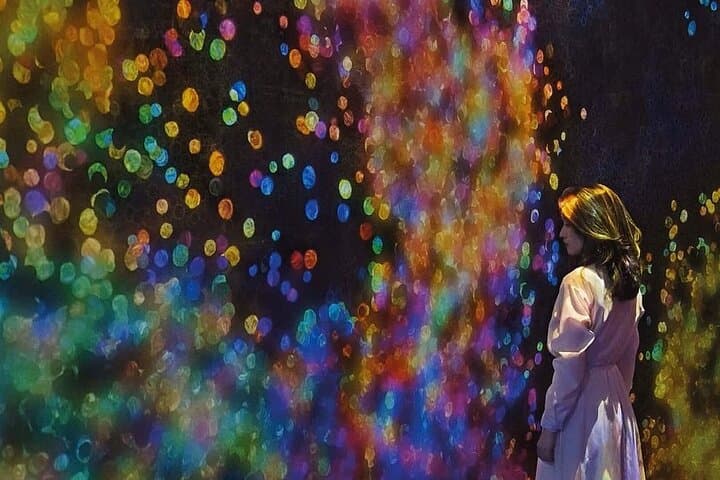 teamLab Phenomena Abu Dhabi: Immersive Digital Art Experience on Saadiyat Island photo 5