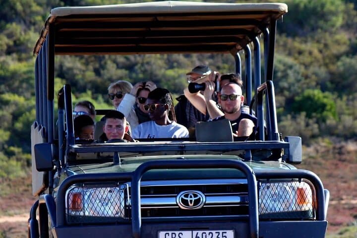 2-Day Garden Route Safari & Cape Agulhas Coastal Adventure from Cape Town photo 5