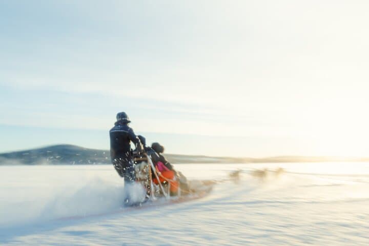 Drive a Husky Sled in Rovaniemi: 5 km Self-Drive Arctic Adventure photo 6