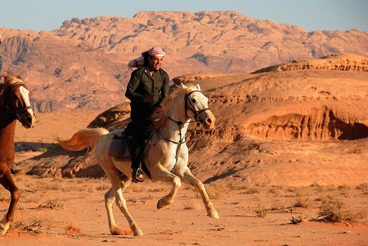 Arabian Horseback Ride on Hurghada's Desert & Red Sea Shoreline